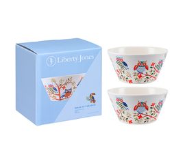 Набор чаш Owl из коллекции Birds of Paradise в подарочной упаковке, 450 мл, 2 шт., Liberty Jones, фото 