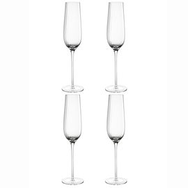 Набор бокалов для шампанского Alice, 200 мл, 4 шт., Liberty Jones, фото 