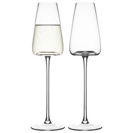 Набор бокалов для шампанского Sheen, 240 мл, 2 шт., Liberty Jones, фото 