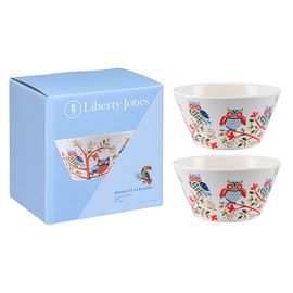 Набор чаш Owl из коллекции Birds of Paradise в подарочной упаковке, 450 мл, 2 шт., Liberty Jones, фото 