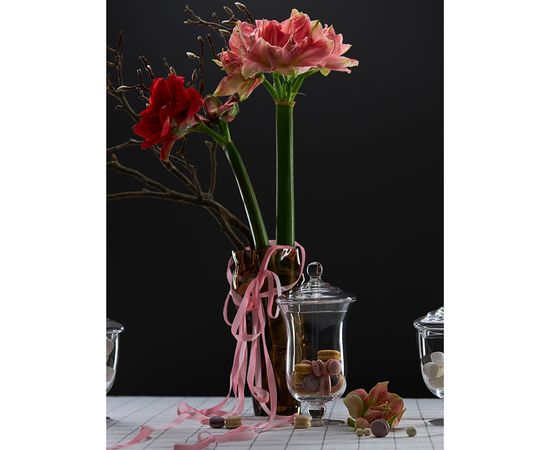 Бонбоньерка Sugary, 29,3 см, Liberty Jones, фото , изображение 3