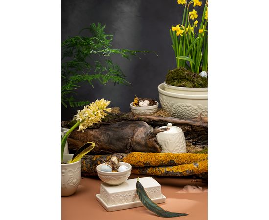 Масленка Birds of Paradise, кремовая, Liberty Jones, фото , изображение 2