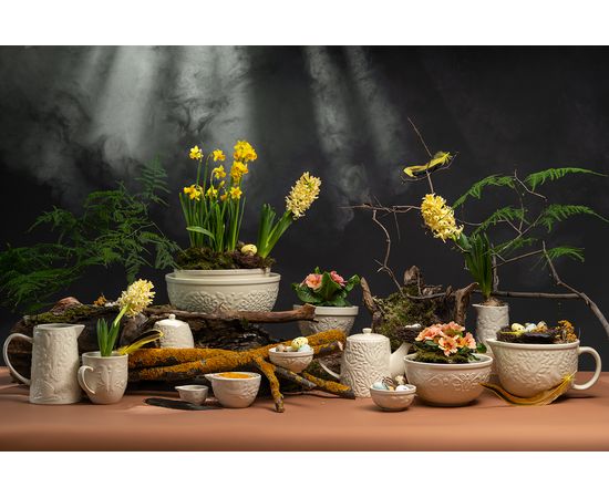 Кувшин Birds of Paradise, 980 мл, кремовый, Liberty Jones, фото , изображение 5