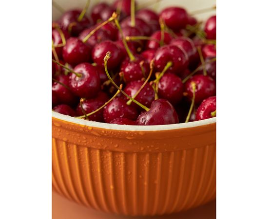 Миска Soft Ripples, 3,9 л, карамельная, Liberty Jones, фото , изображение 8