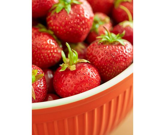 Миска Soft Ripples, 3 л, карамельная, Liberty Jones, фото , изображение 8