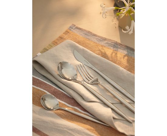 Набор столовых приборов Globe, серебристые, 16 пред., Liberty Jones, фото , изображение 6