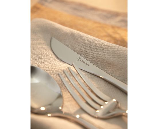 Набор столовых приборов Globe, серебристые, 16 пред., Liberty Jones, фото , изображение 7