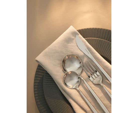 Набор столовых приборов Globe, серебристые, 16 пред., Liberty Jones, фото , изображение 3