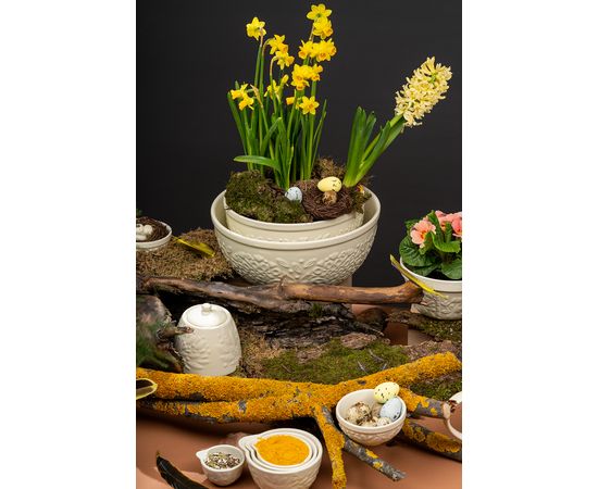 Набор мерных чаш Birds of Paradise, кремовые, 4 шт., Liberty Jones, фото , изображение 7