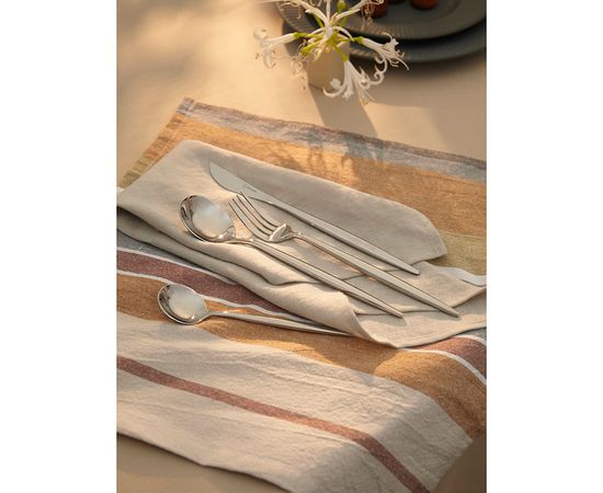 Набор столовых приборов Globe, серебристые, 16 пред., Liberty Jones, фото , изображение 5