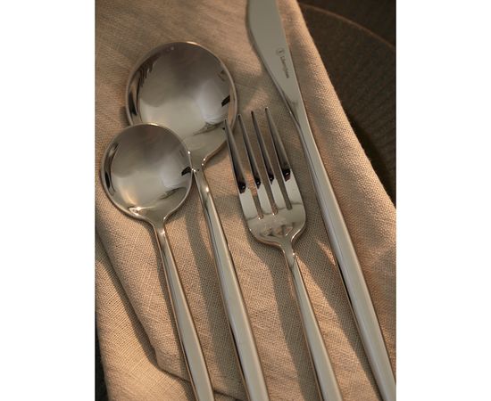 Набор столовых приборов Globe, серебристые, 16 пред., Liberty Jones, фото , изображение 4