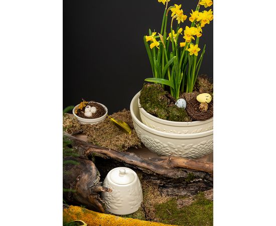 Сахарница Birds of Paradise, 400 мл, кремовая, Liberty Jones, фото , изображение 5