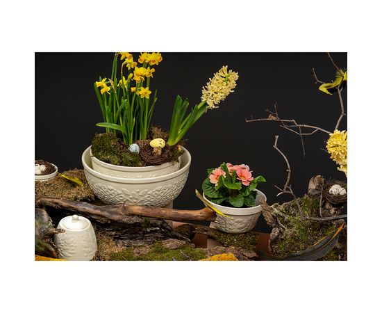 Чаша Birds of Paradise, 850 мл, кремовая, Liberty Jones, фото , изображение 8