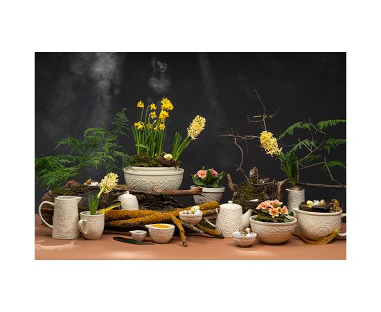 Чаша Birds of Paradise, 850 мл, кремовая, Liberty Jones, фото , изображение 5