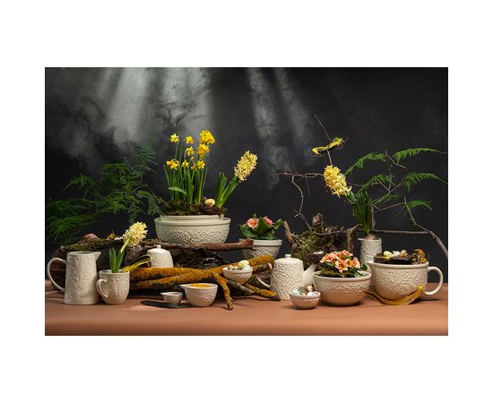 Чайник заварочный Birds of Paradise, 1 л, кремовый, Liberty Jones, фото , изображение 14