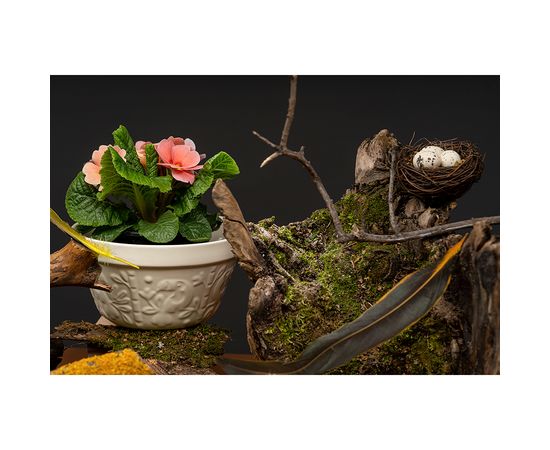 Чаша Birds of Paradise, 850 мл, кремовая, Liberty Jones, фото , изображение 7